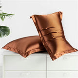 2 X Mulberry Silk PillowCase