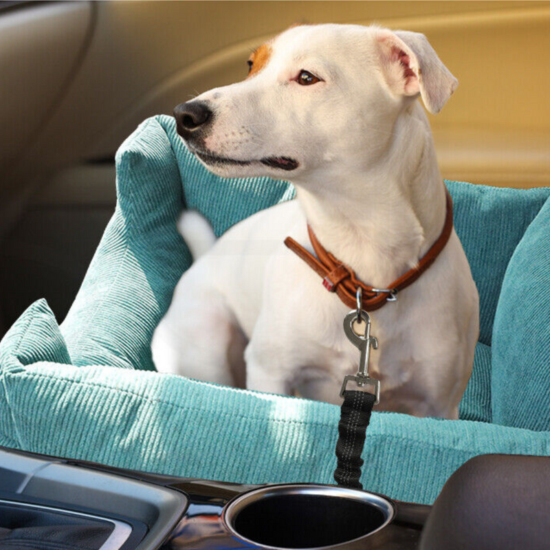 Dog Car Booster Seat